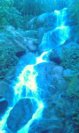 IMAG0348.jpg, mai 2010 IMAG0348.jpg